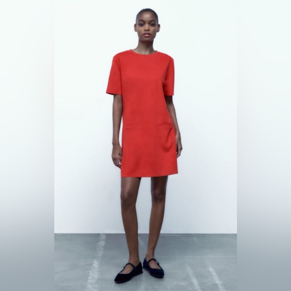 Zara - Faux Suede Dress